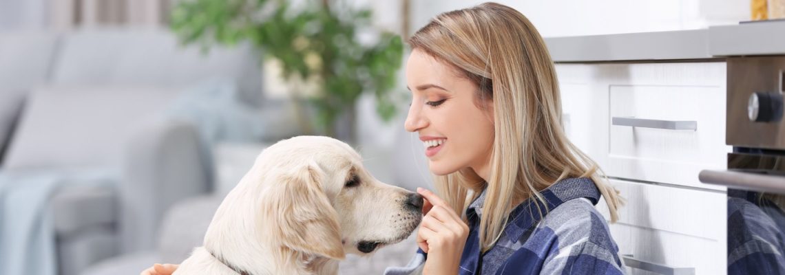 The Essential Guide for Pet Sitters – All You Need to Know