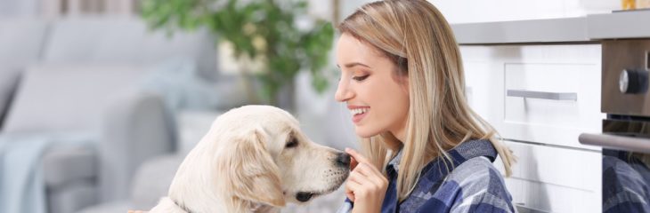 The Essential Guide for Pet Sitters – All You Need to Know