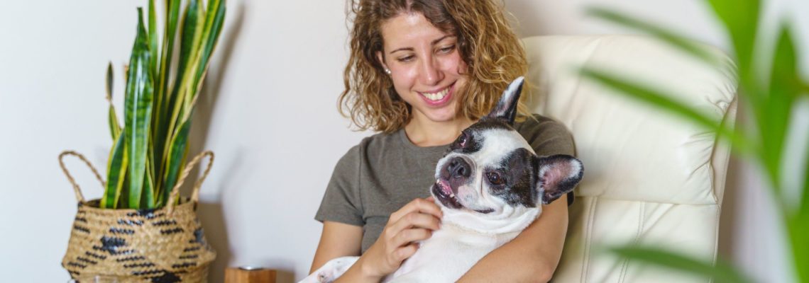 How to Find The Perfect House Sitters Through Trust My Pet Sitter!