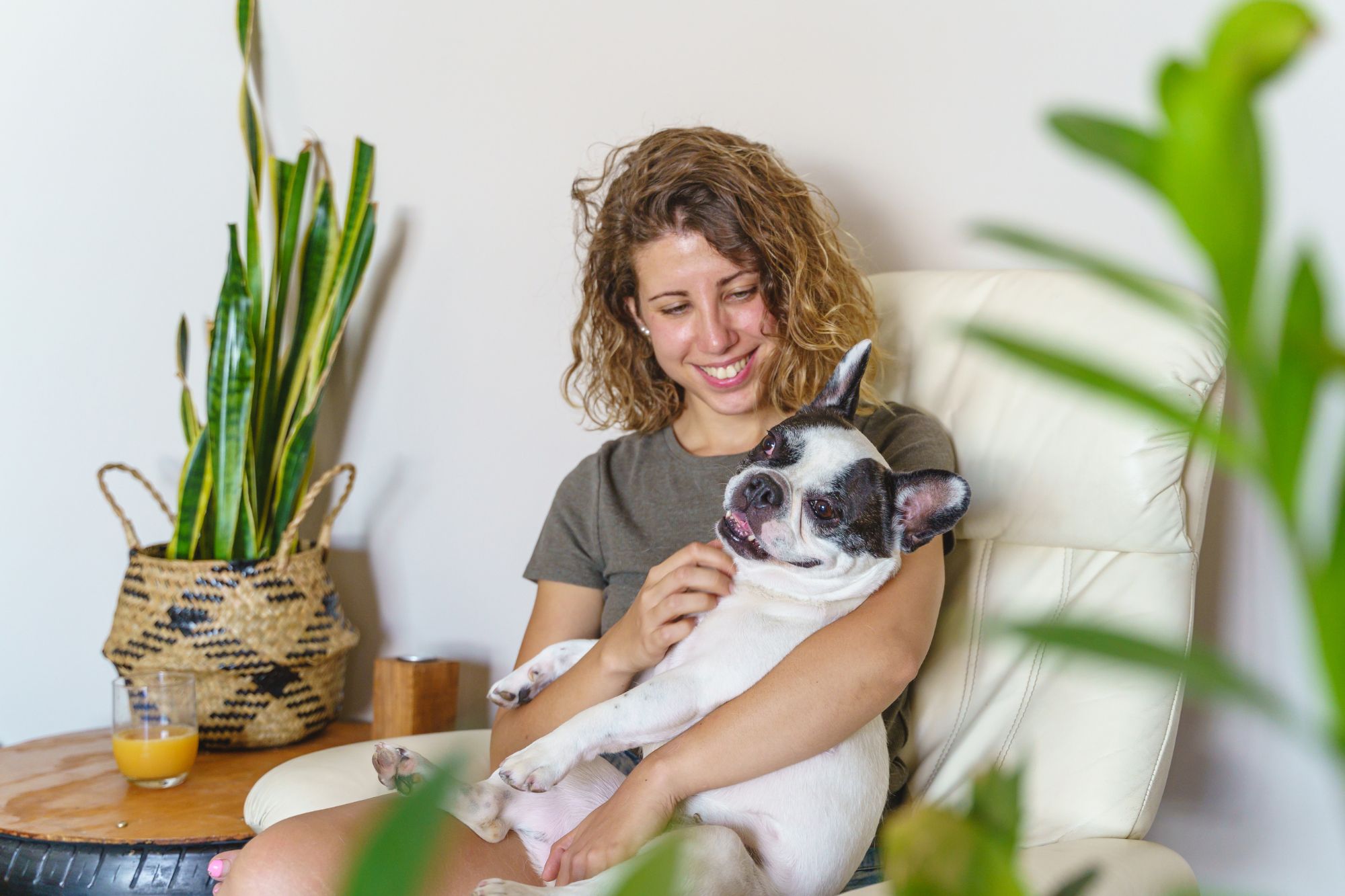 home-and-pet-sitters-trust-my-pet-sitter