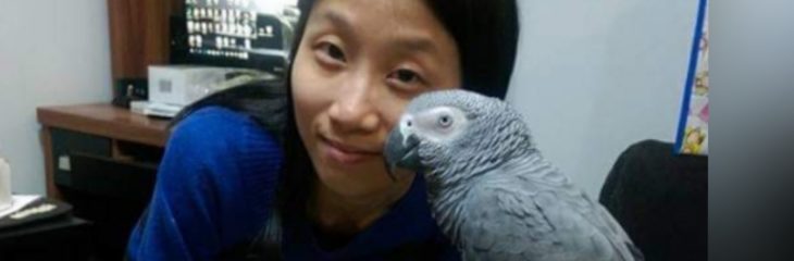 Sarinna Tsang