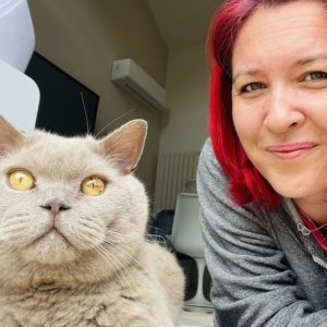 Pet Sitter
