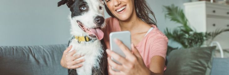 Unlocking Your Potential as a Dog Sitter Working From Home