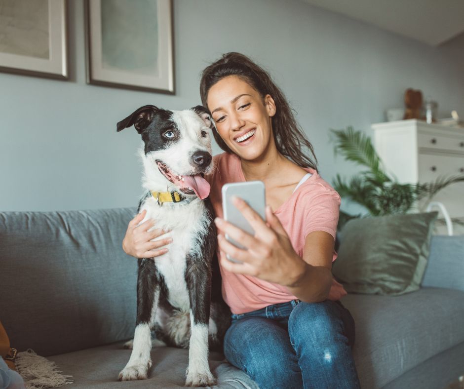 Unlocking Your Potential as a Dog Sitter Working From Home