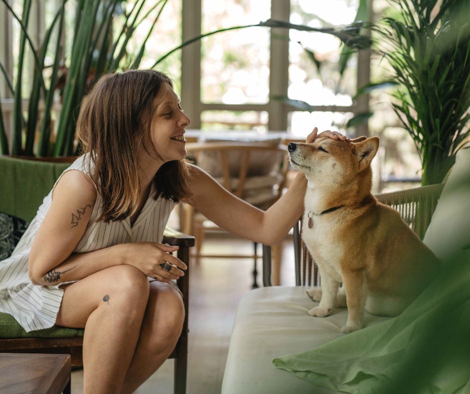 How to Become a Pet Sitter and Start Travelling the Globe