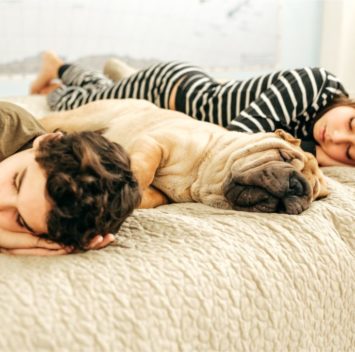 dog-and-people